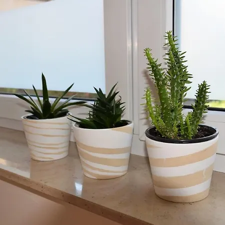 Auf Dem Dorf, Appartement