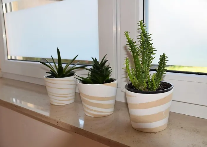 Auf Dem Dorf, Apartmán